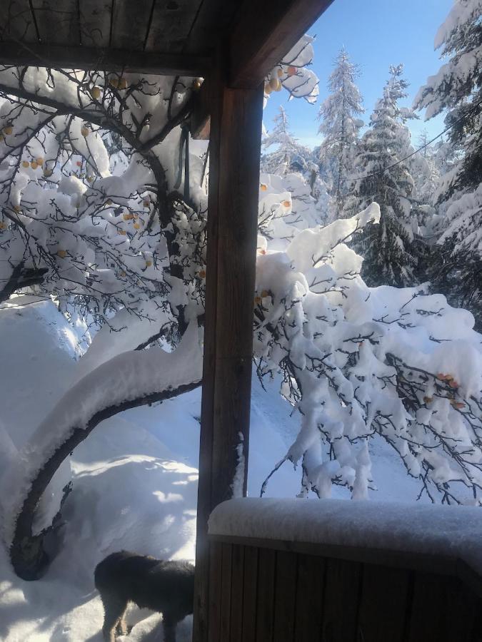 Chalet Familial Орон Екстериор снимка