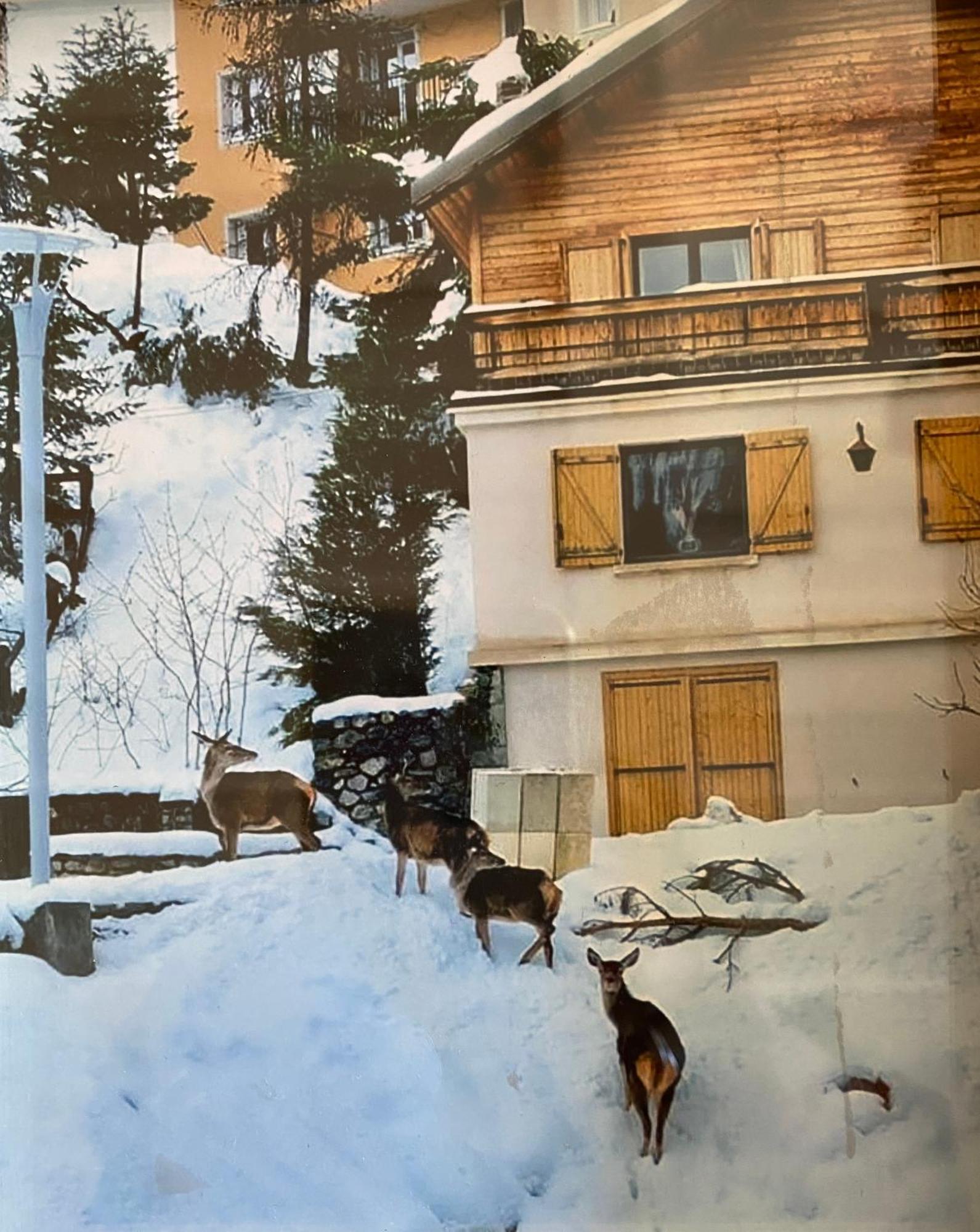 Chalet Familial Орон Екстериор снимка